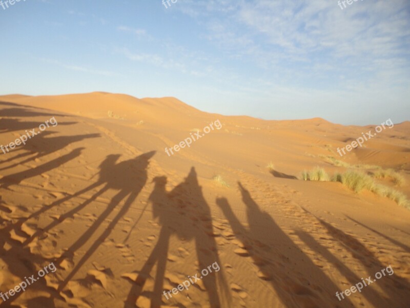 Sahara Desert Sand Shadow Dromedary Free Photos