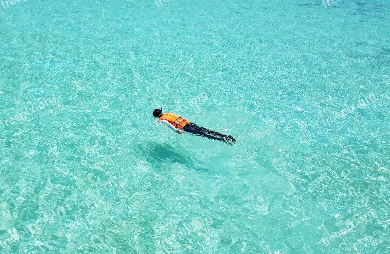 Maldives Snorkeling Swimming Emerald Sea