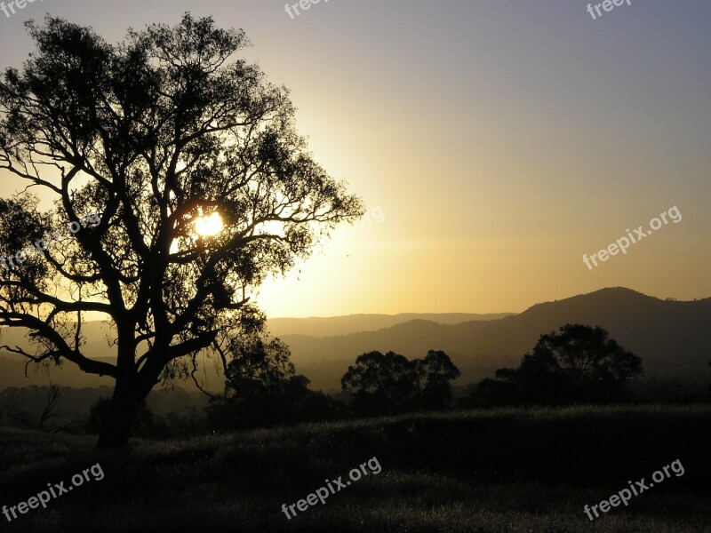 Sunset Eucalyptus Mountains Nature Outdoors