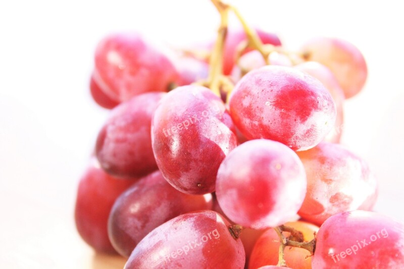 Grape The Grapes Fruit Food Dessert