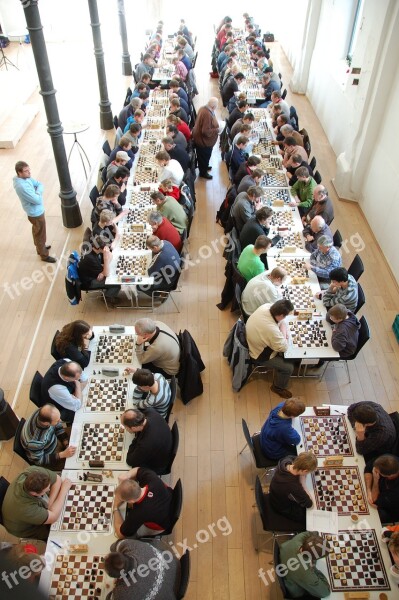 Chess Tournament Chess Congress Players Chess Board