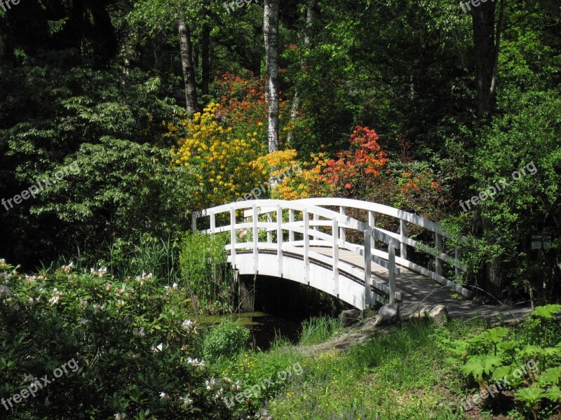 Water Bridge Pond Nature Landscape