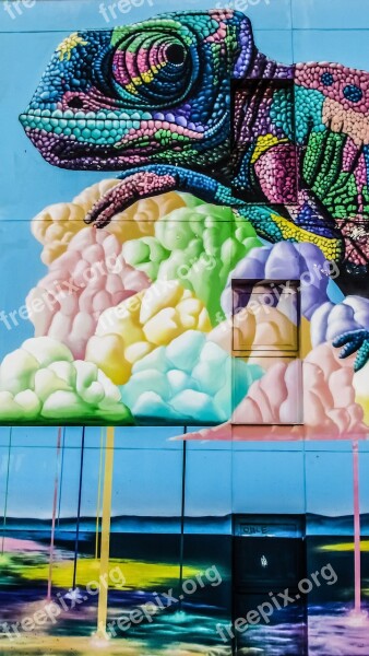 Chameleon Graffiti Colour Wall Hotel