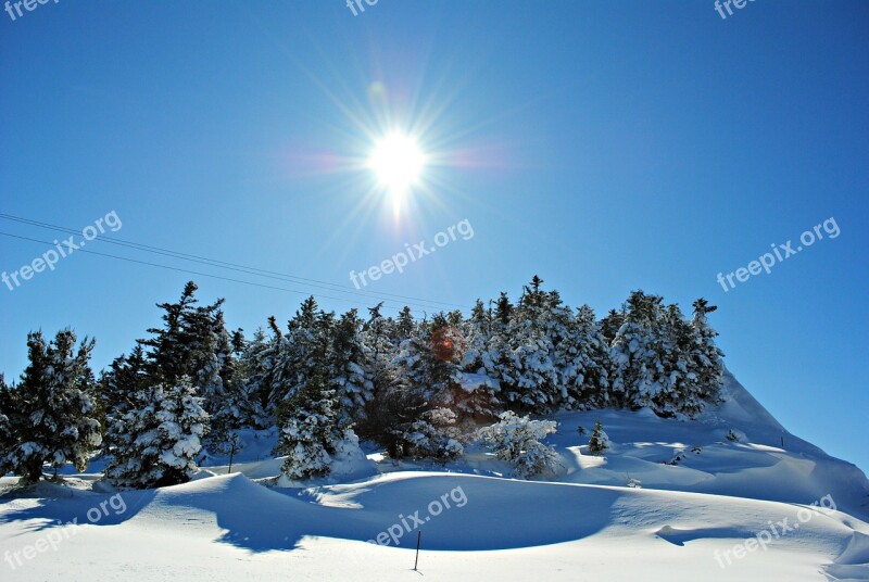 Snowy Landscape Snow Winter Landscape Cold