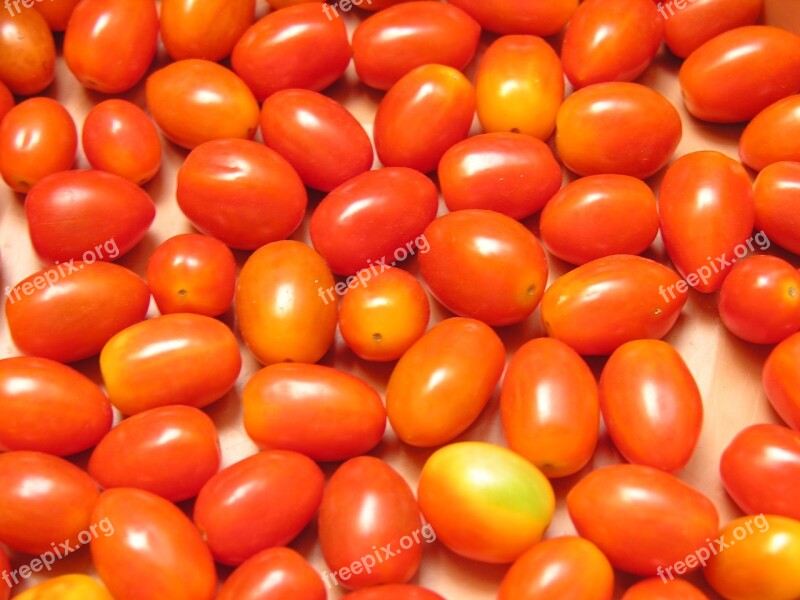 Tomato Food Cherry Tomato Plant Salad