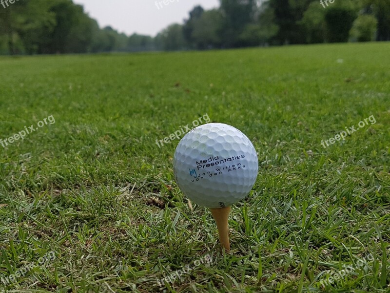 Golf Course Grass Golf Golf Ball Free Photos