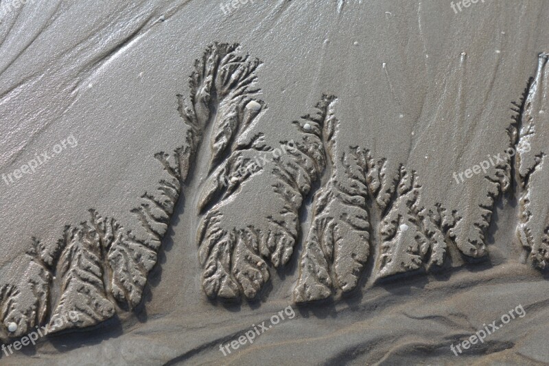 North Sea Wadden Sea Sand Drawing Vacations Free Photos