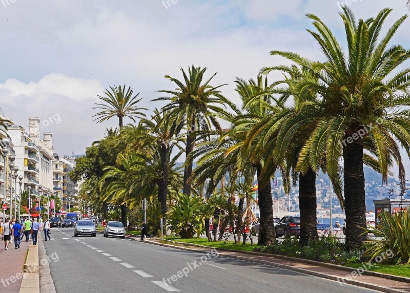 Nice Boulevard Beach Promenade Vieux Palm Trees