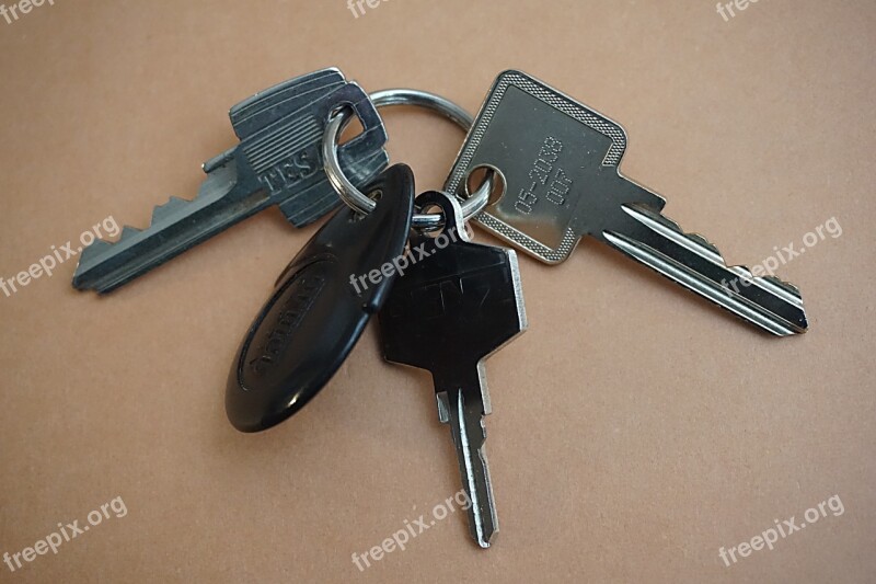 Keychain Key Keyring Locks Entry