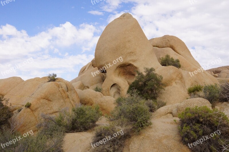 Skull Rock Usa Stones Cliff National Park