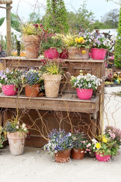 Floral Decoration Old Piano Klavierdeko Flowers State Garden Show