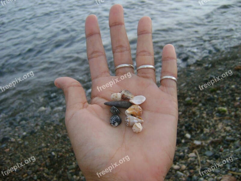 Hands Snails Sea Small Sand