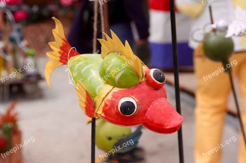 Fish Fish Eye Decoration Deco Goggle