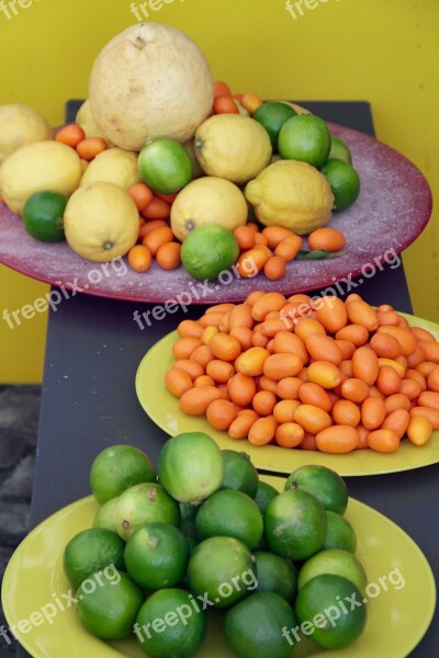 Citrus Fruits Plate Lime Kumquat Decoration