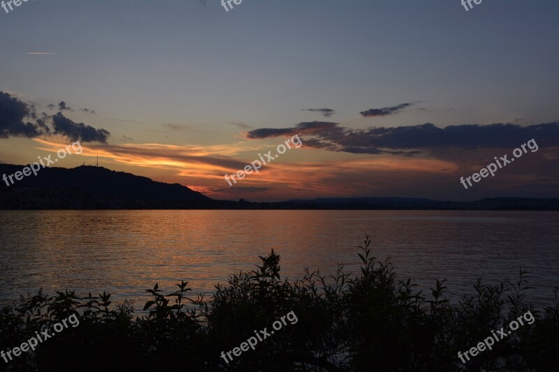 Sunset Evening Sun Lake Lake Zurich Water