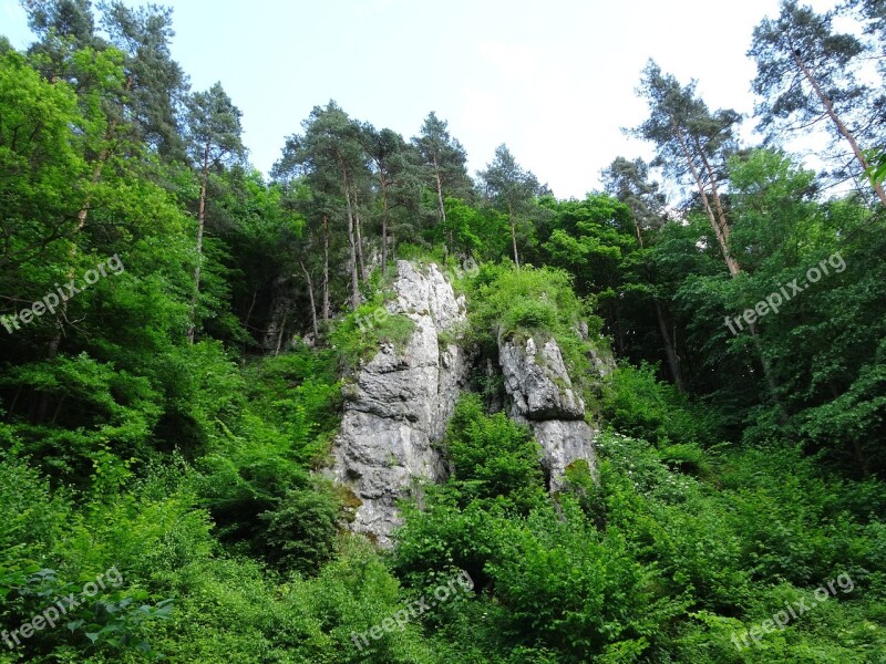 Rocks Tree Landscape Nature Poland