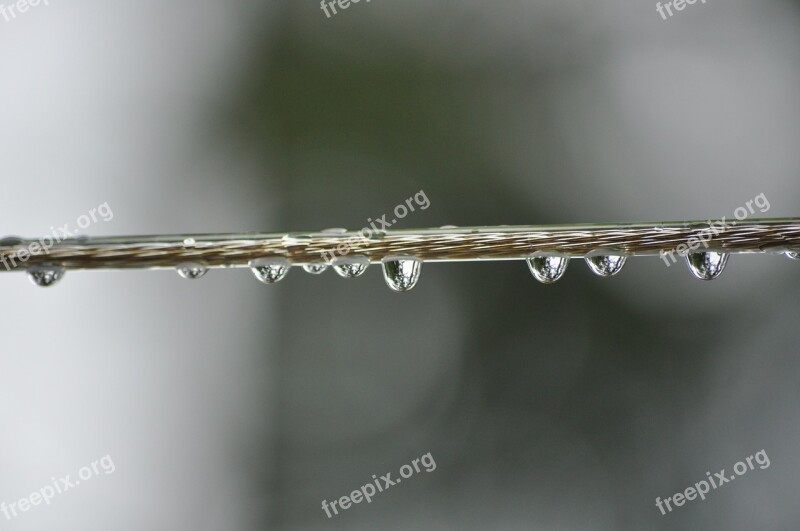 Water Drops Clothes Line Water Drop Environment