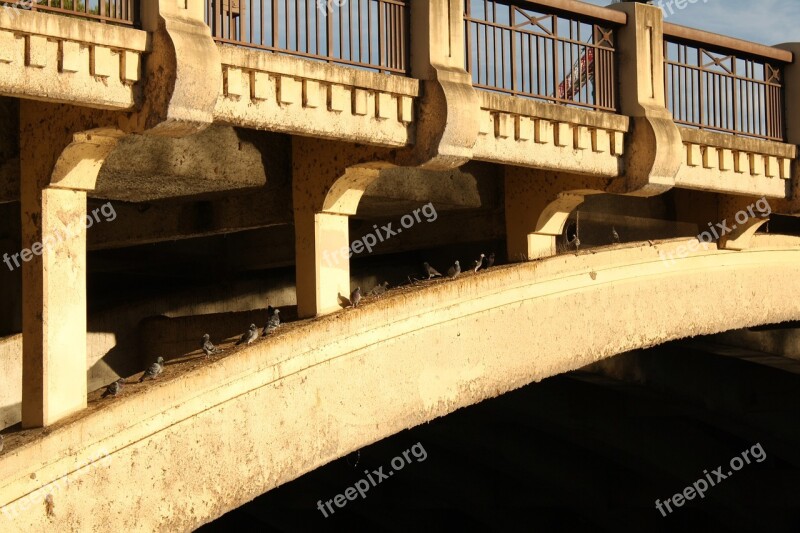 Bridge Concrete Arch Adelaide Architecture