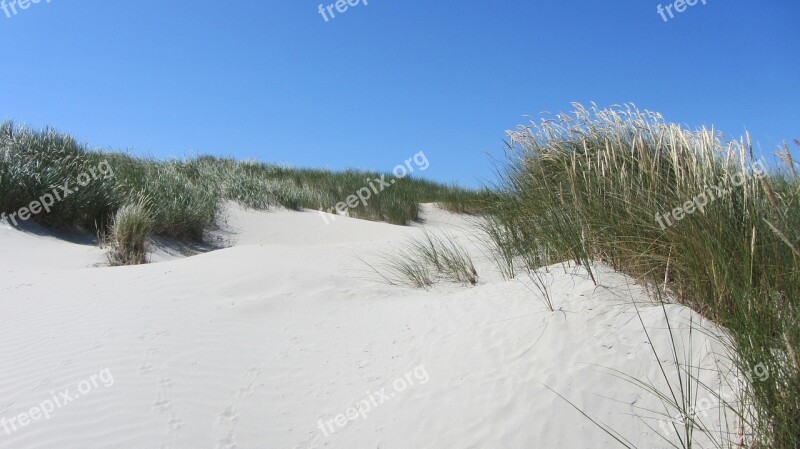 Beach Dune North Sea Nordfriesland Baltic Sea