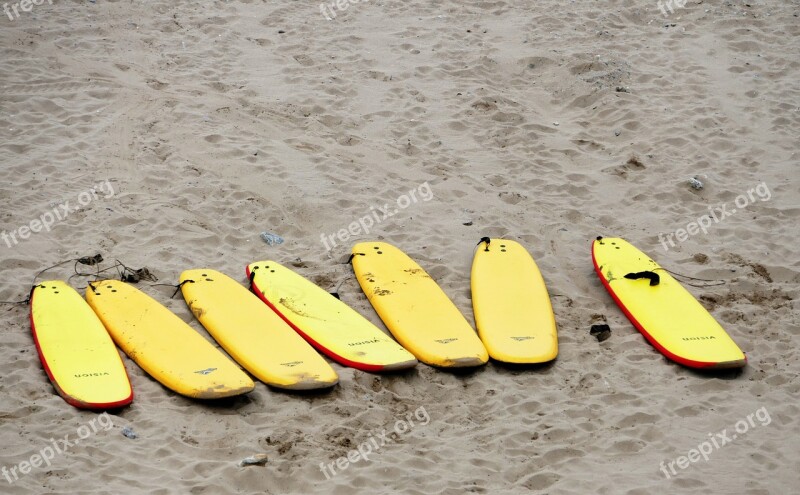 Surf Boards Beach Surfing Sport