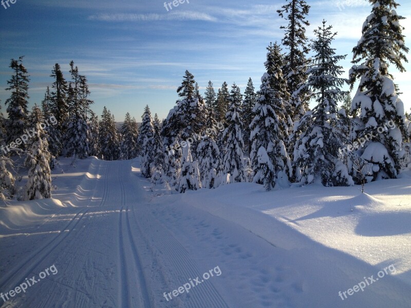 Skiing Ski Nordic Snow Winter