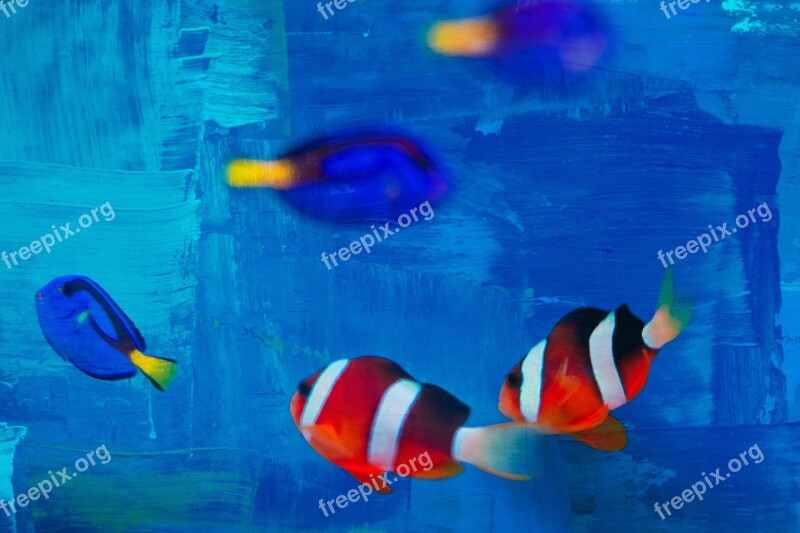 Small Fish Fish Striped Abstract Background