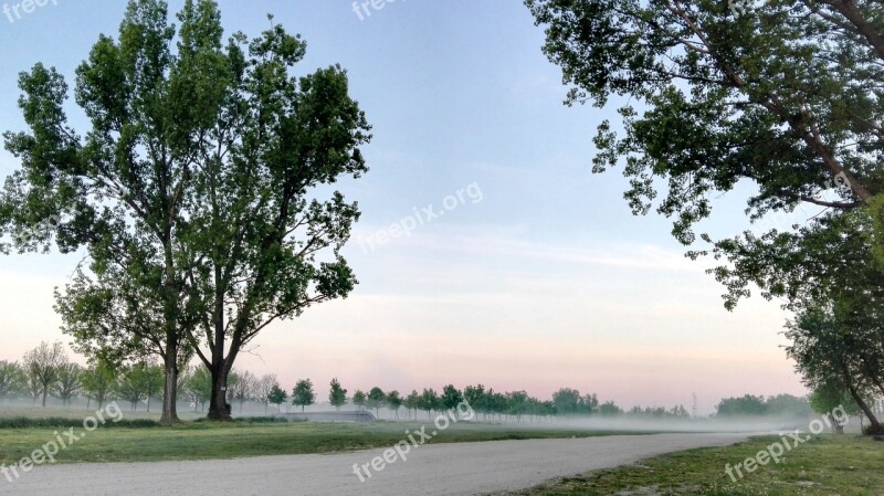 Fog Trees Dawn Sky Forest