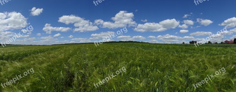 Field Landscape Village Beautiful Landscape Spring