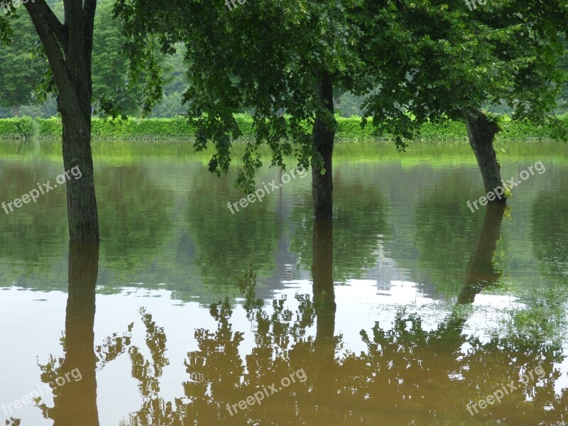 River Floods Trees Reflections Free Photos