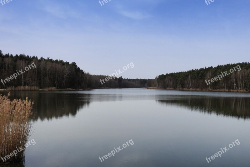 Lake Trees Reflection Mirroring Mirrored Trees