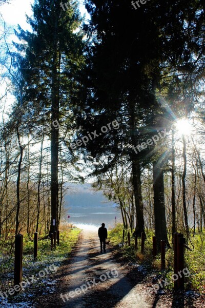 Fir Water's Edge Silhouette Animals Sun