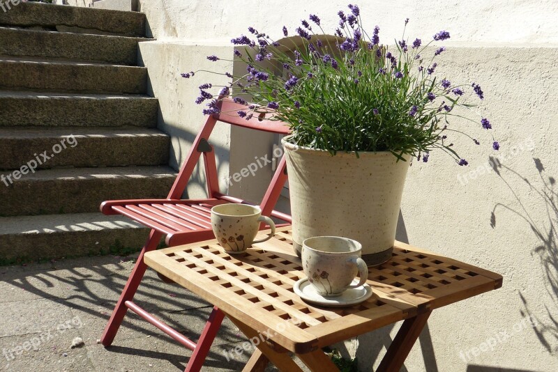 Stairs Red Chair Cup Lavender