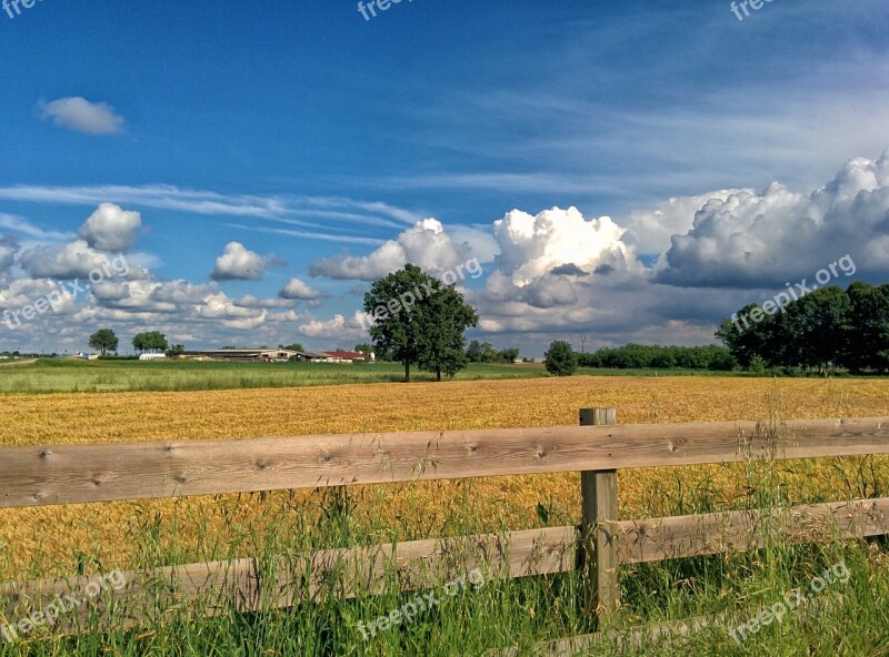 Italy Wheat Spring Nature Landscape