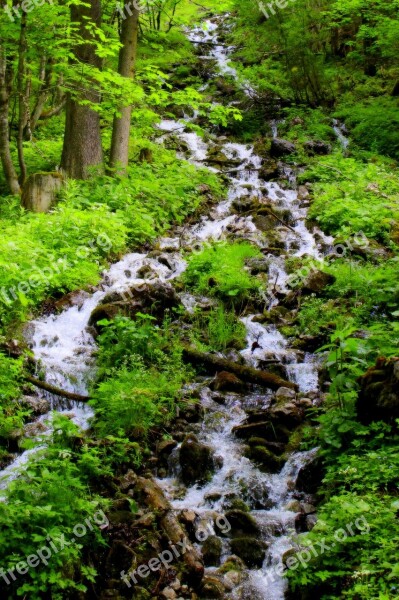 Waterfall Water Clear Flow Stones