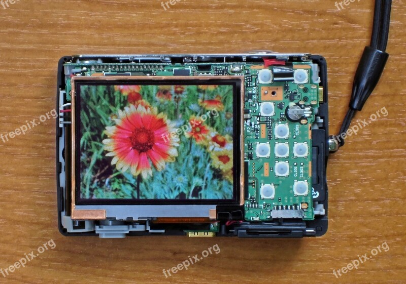 Digital Camera Photo Flower Technology Screen