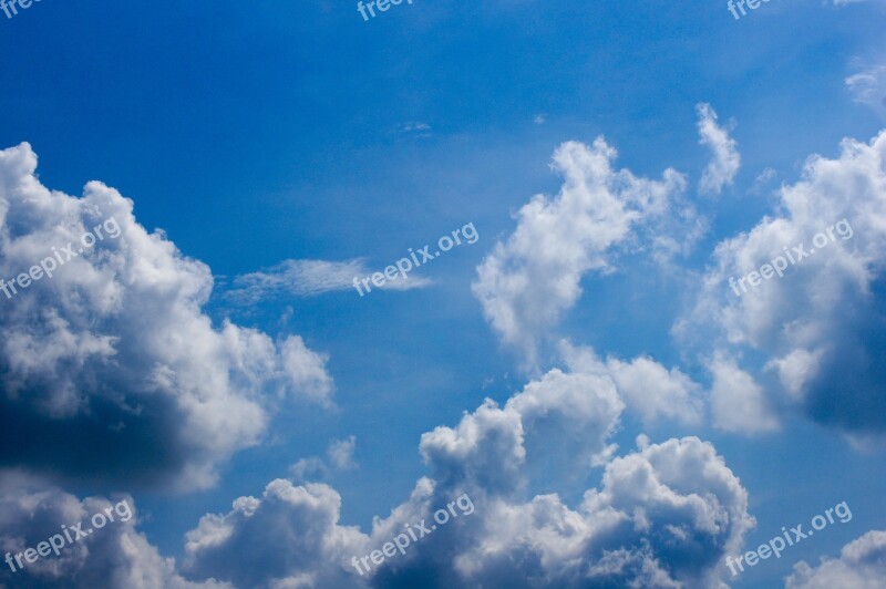 Singapore Coney Island Sky Blue Sunny Blue Sky