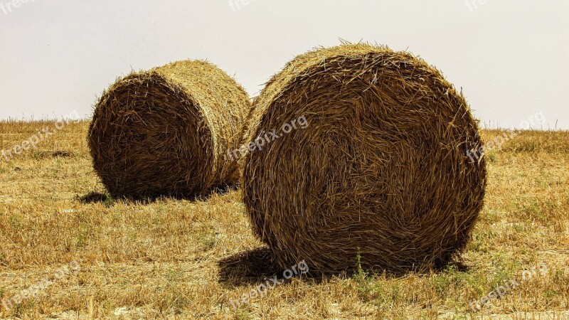 Hay Bales Field Straw Agriculture