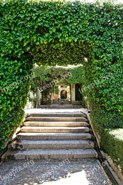 Stairs Steps Covered Greenery Outdoor