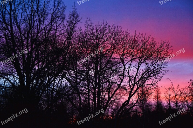 Sunset Trees Sky Sundown Nature