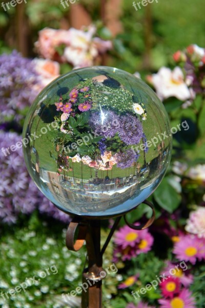 Ball Decoration Reflection Flowers Glass Ball Free Photos