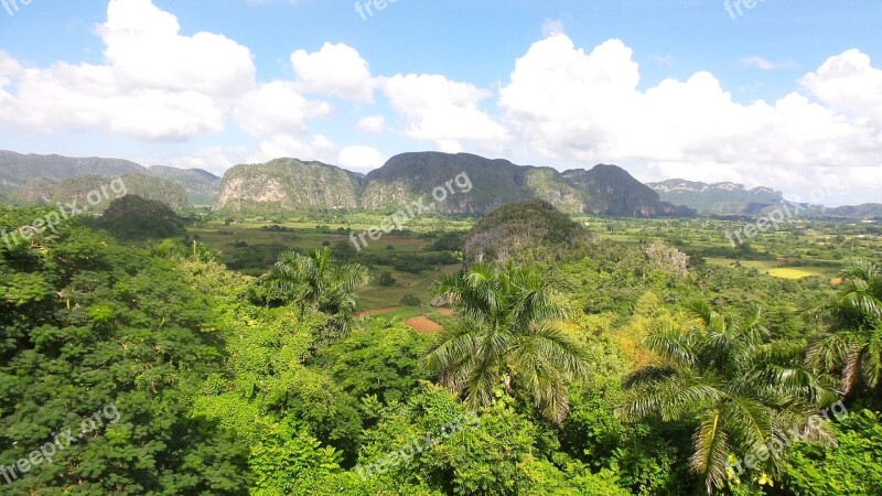 Cuba Forest Mountain Vedado Landscape