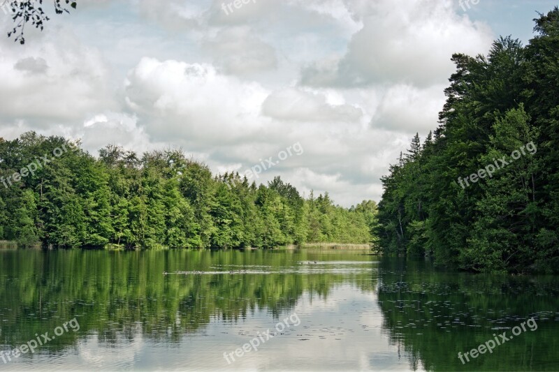 Lake Forest Trees Clouds Nature