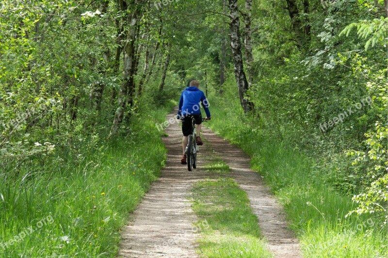 Cycling Cyclists Forest Away Nature