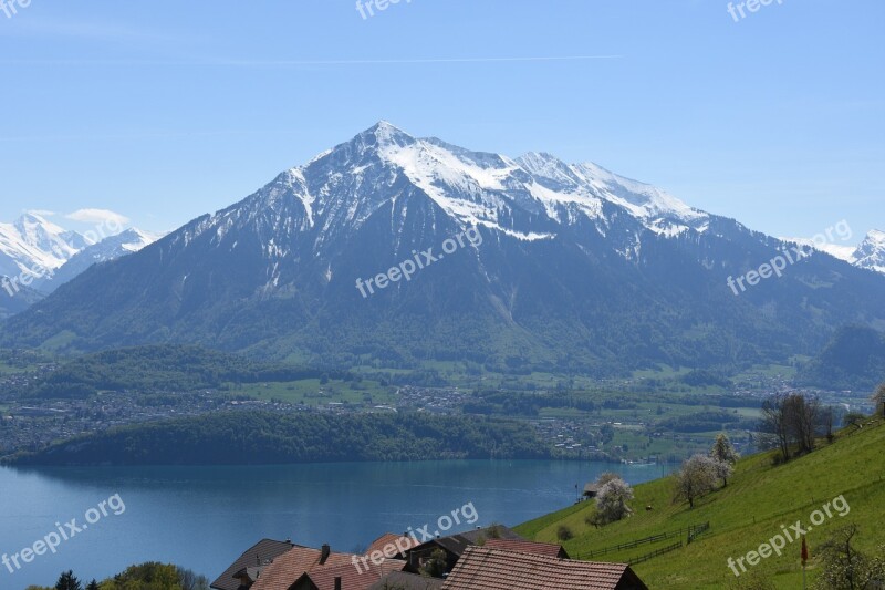 Sneezing Lake Thun Bernese Oberland Thun Hausberg Switzerland