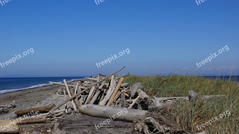 Ocean Sea Beach Water Landscape