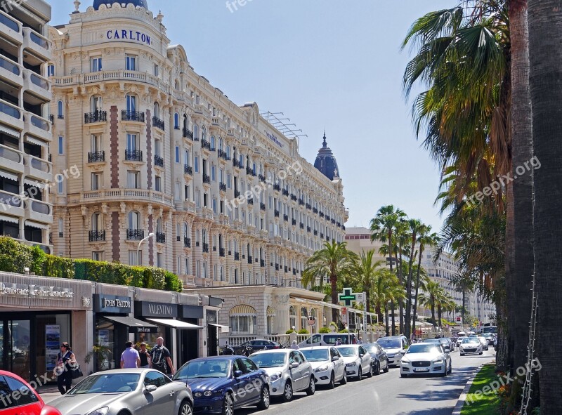 Cannes Côte D ' Azur Lake Promenade Palm Trees Hotels