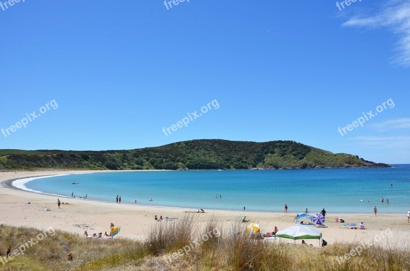 New Zealand Seaside Sandy Beach Free Photos