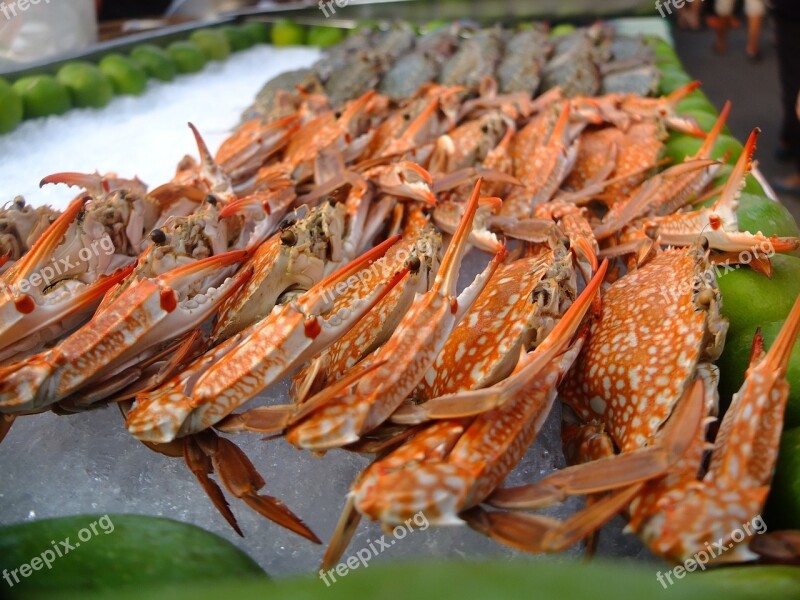 Crab Food Steamed Crabs Fresh Market Free Photos