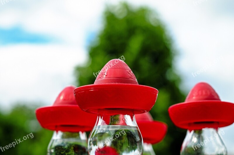 Sombrero Mexican Hat Red Headwear Tequila Bottle