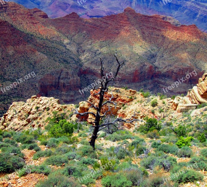 Grand Canyon Arizona Canyon Grand Park